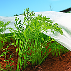 Біле агроволокно Shadow 42 г/м² 2,1×100 м — укривний матеріал для теплиць і захисту рослин від заморозків, фото 7