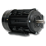 Електричний двигун для мийки високого тиску в зборі ротор + статор (4 кВт, 1440 об, 380В), фото 2