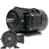 Електричний двигун для мийки високого тиску в зборі ротор + статор (4 кВт, 1440 об, 380В), фото 5