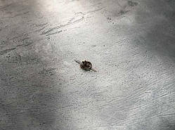 Ручка під старовину. 12х32мм / Ручка під старовину. 12х32мм