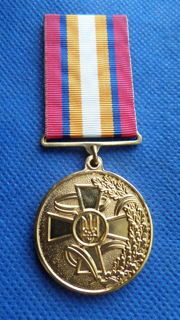 Медаль За заслуги в ліквідації наслідків надзвичайної ситуації №760, фото 1