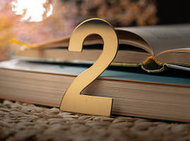 Металева цифра 2 для дверей номерів, кабінетів, квартир, будинку з нержавіючої сталі 8см. Колір "золото".