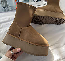 Ботинки UGG UGG Boots зимові Ботинки UGG