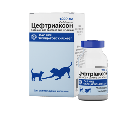 Цефтріаксон 1г. порошок для ін'єкцій ветеринарний антибіотик широкого спектру дії