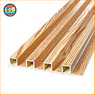 Рейка декоративна WPC стінова 3000х160х23мм Сосна SW-00001526