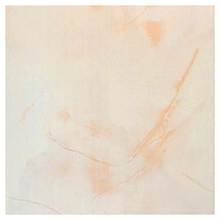 Панель пластикова ПВХ Panel-It (8 мм × 0.25×6 м) Персиковий онікс