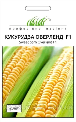Насіння Кукурудза цукрова Оверленд F1, 20 насінин Syngenta, фото 1