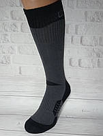 Шкарпетки чоловічі тактичні Trekking бавовна з махровою стопою 45-47р | набір 3 пари