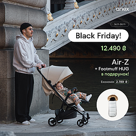 Коляска прогулянкова Anex Air Z, Oaty