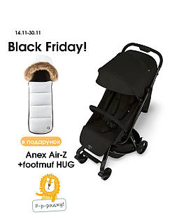 Коляска прогулянкова Anex Air Z, Space