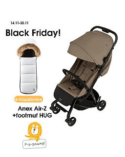 Коляска прогулянкова Anex Air Z, Omega