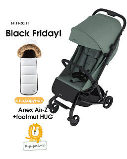 Коляска прогулянкова Anex Air Z, Minted
