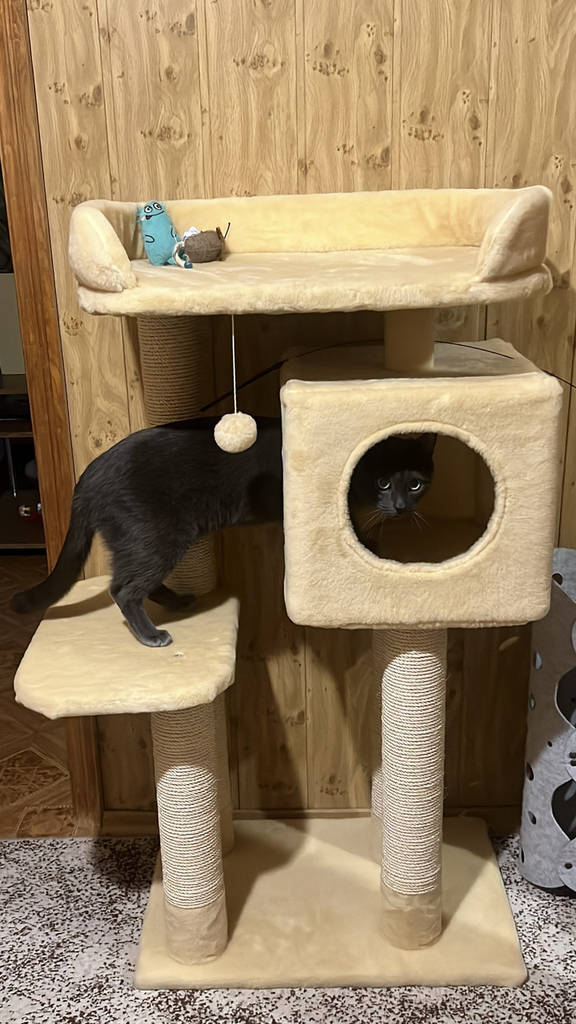 Будинок дряпка для кота Мур-Мяу Фортуна 40х60х106см для кішки в сизалевій мотузці Бежевий - фото покупців 1