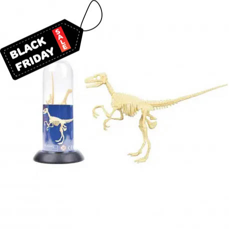 Конструктор-скелет "Велоцираптор" Mideer Toys, фото 1