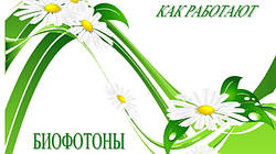 Що таке біофотони?