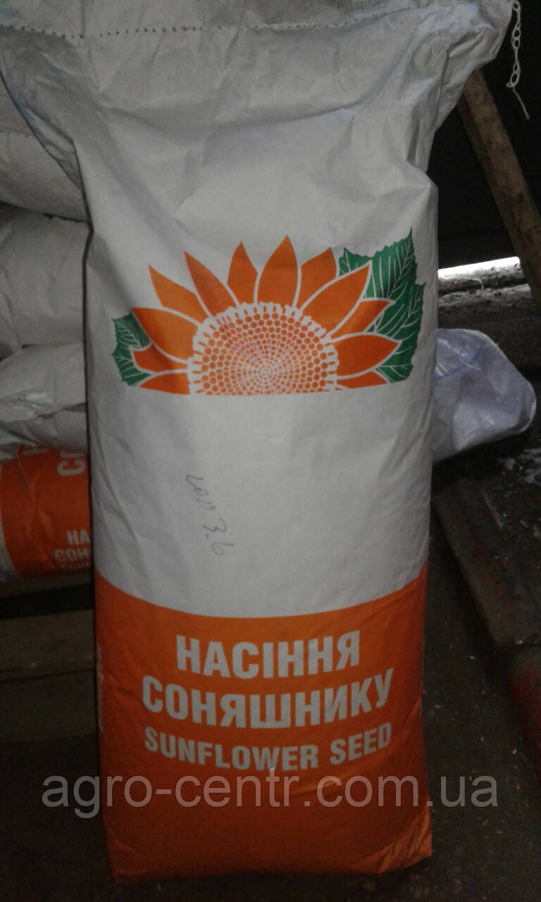 Насіння соняшника Рекольд (під Гранстар)