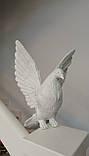 Набір скульптур голубів 6 шт з полімеру для пам’ятників і декору, фото 3