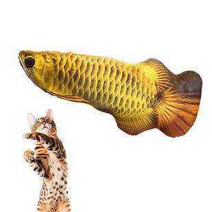 М'яка іграшка BTB риба Арована 19см для кішок кота з котячою м'ятою
