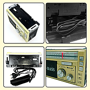 Радіоприймач Golon RX-381 з ліхтариком та підтримкою USB/TF, фото 9