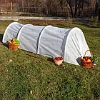 Парник-міні «Дачний», 8 м, фото 2