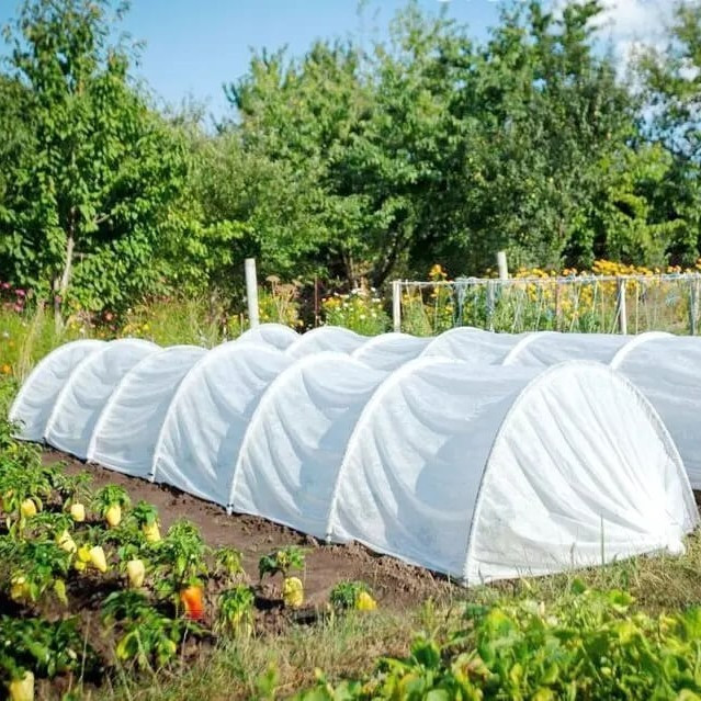 Парник-міні «Дачний», 8 м, фото 1