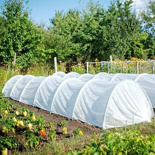 Парник-міні «Дачний», 6 м