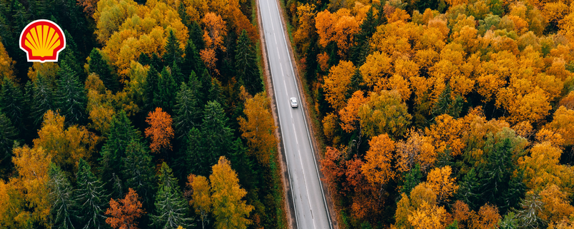 Присадки до пального та їх вплив на роботу двигуна