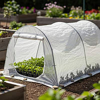 Парники-міні