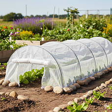 Парники-міні