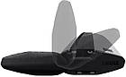 🔧 Поперечини Thule WingBar Evo 7113 (127 см), фото 7