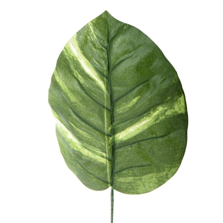 Потос - Лист 47 см