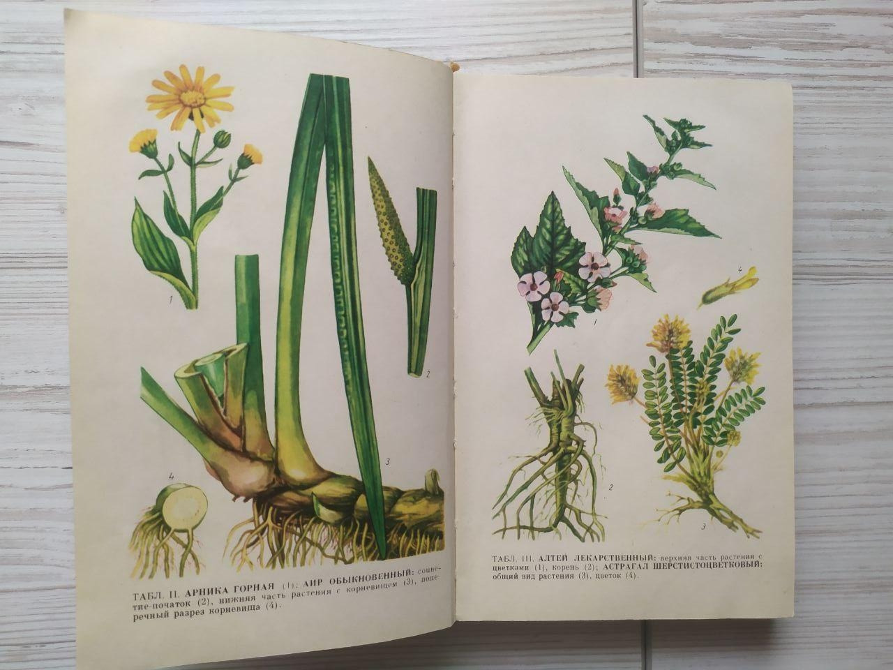 Product image preview