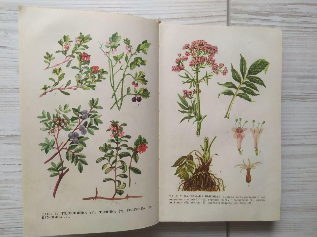 Product image preview