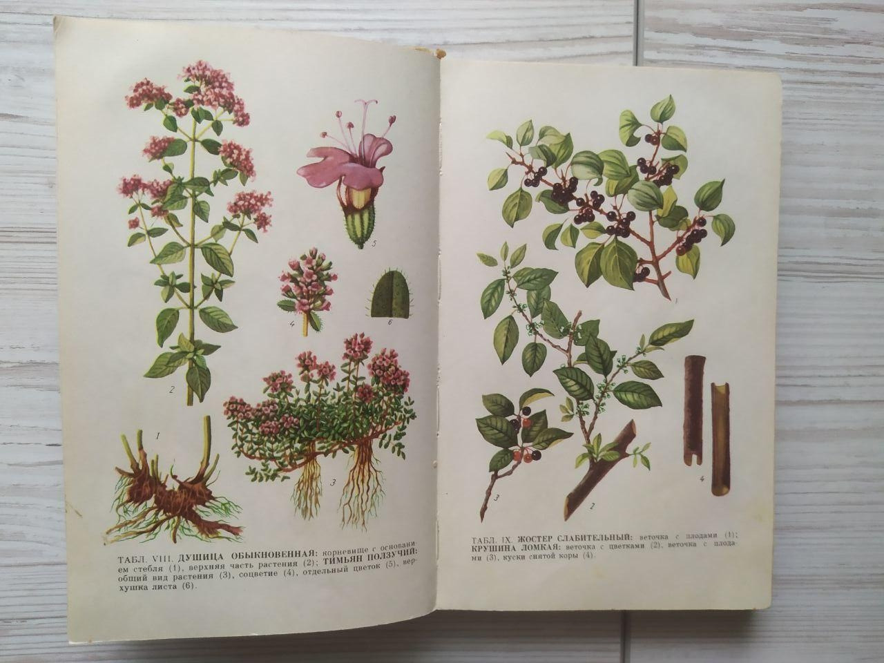 Product image preview