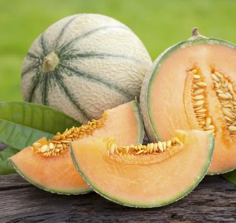 Диня Портенто F1 United genetics 5 шт (зіп-пакет), фото 1