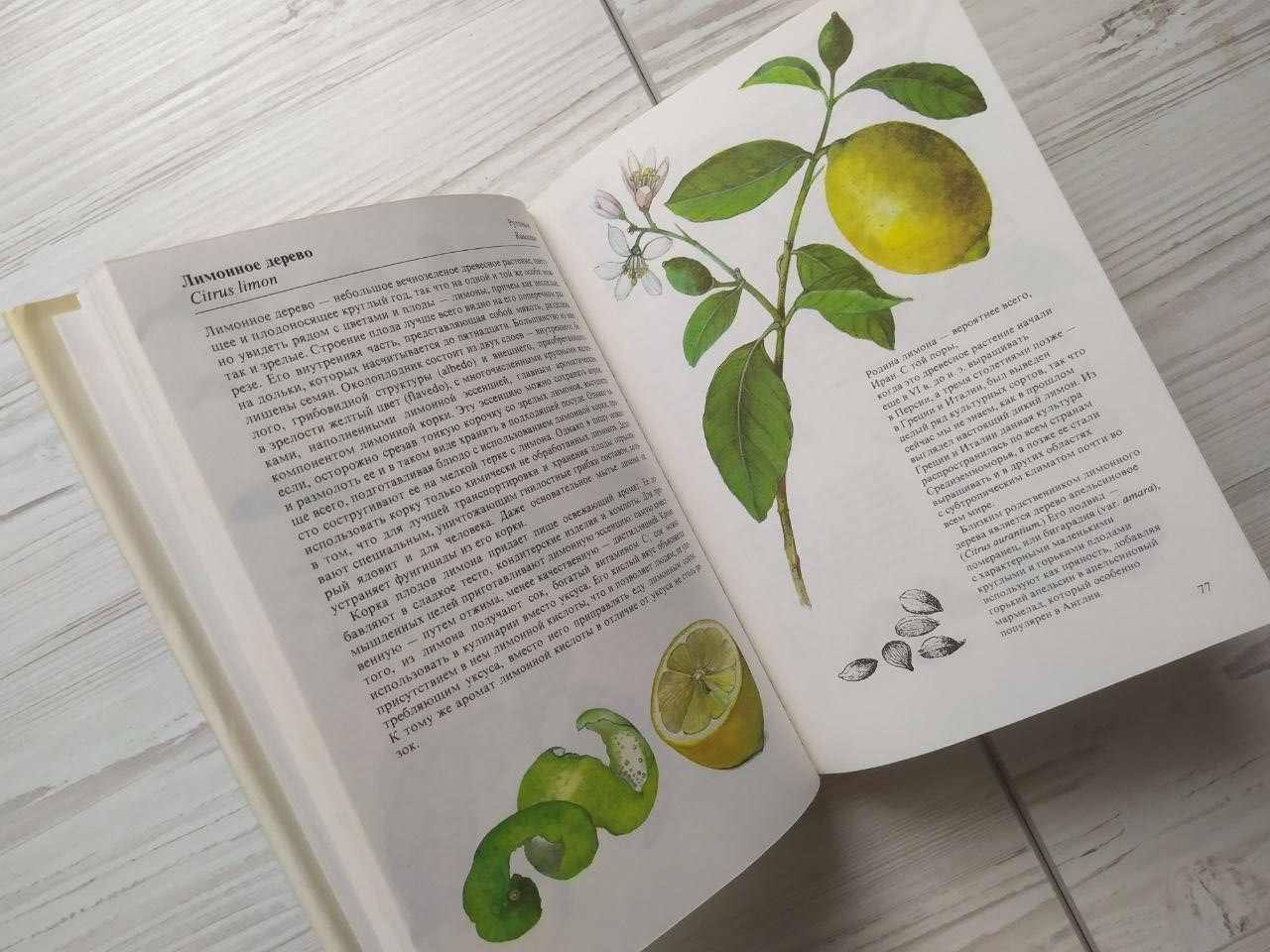 Product image preview