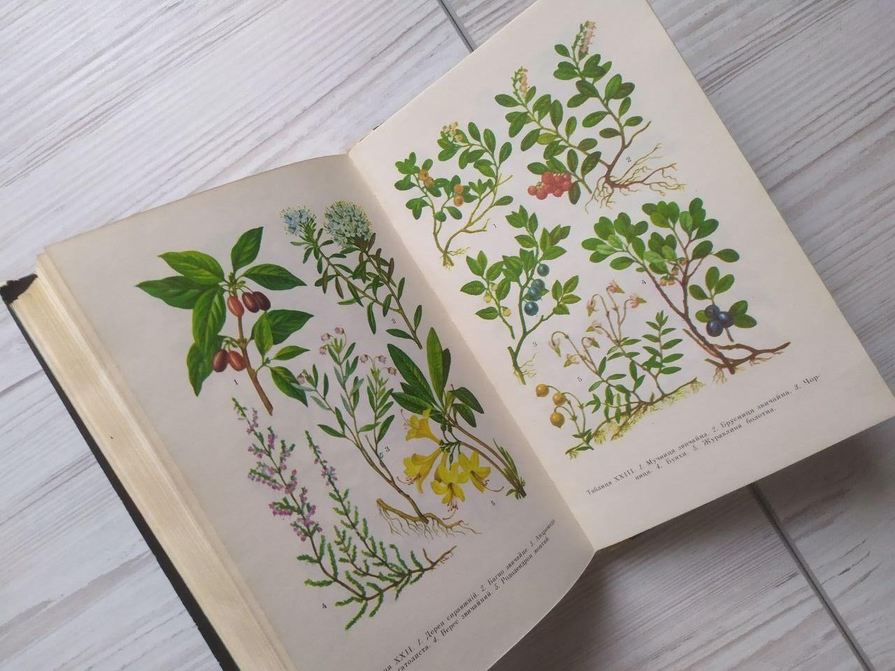 Product image preview