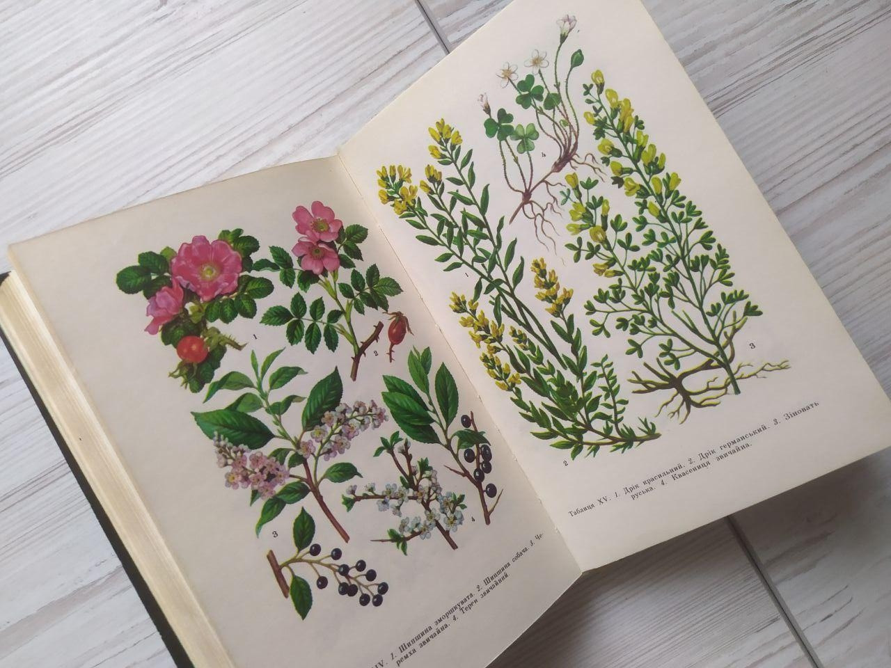 Product image preview