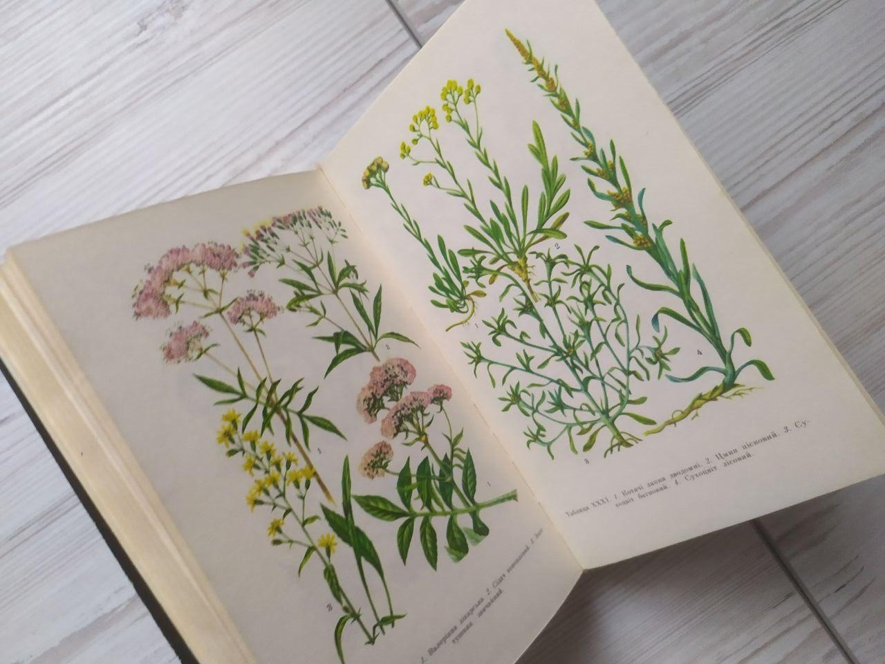 Product image preview