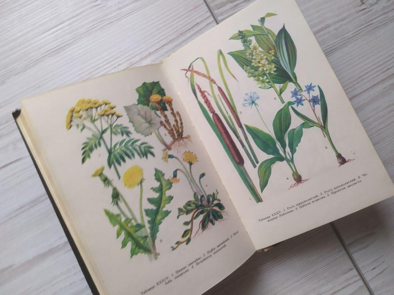 Product image preview