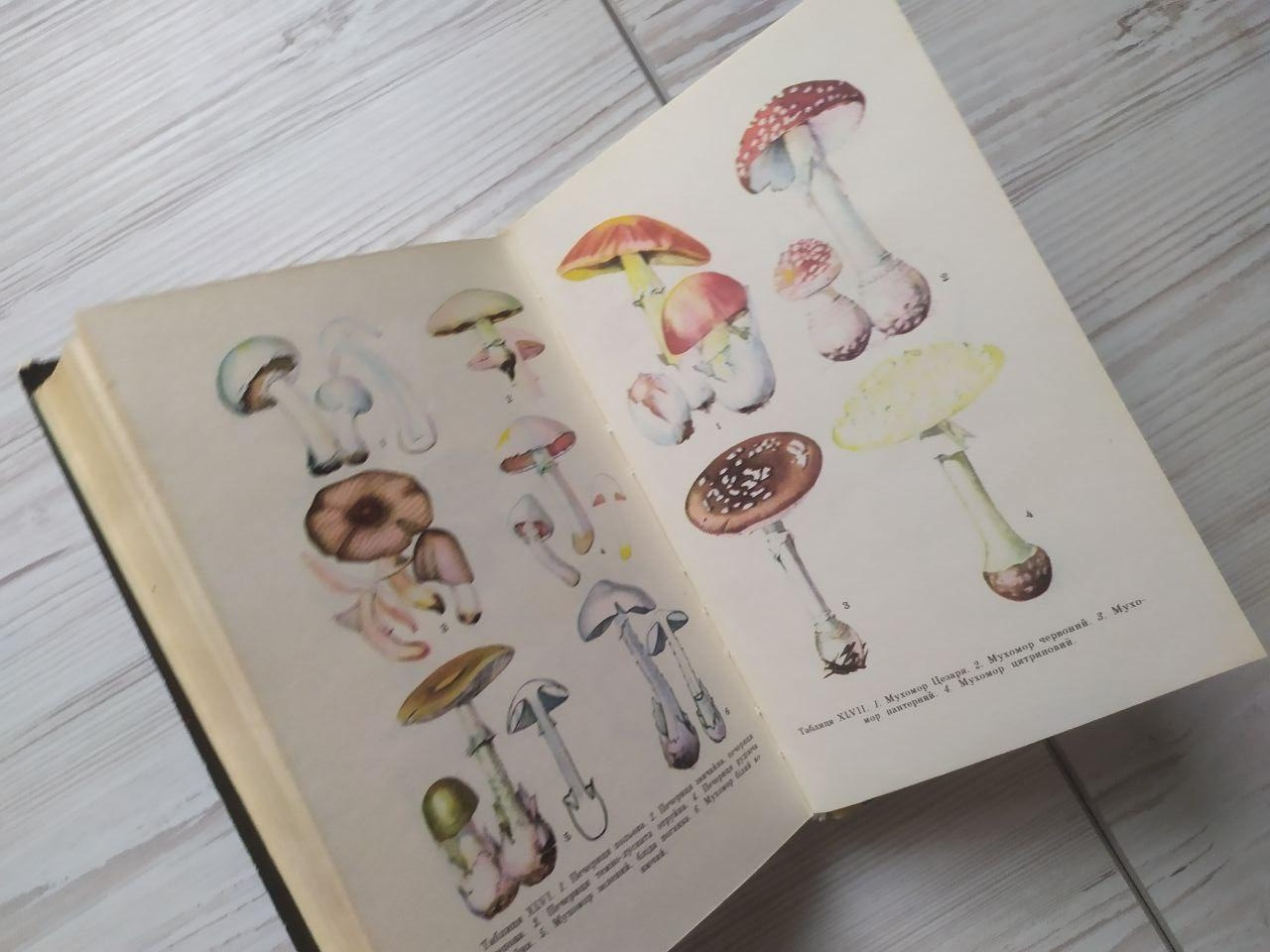 Product image preview