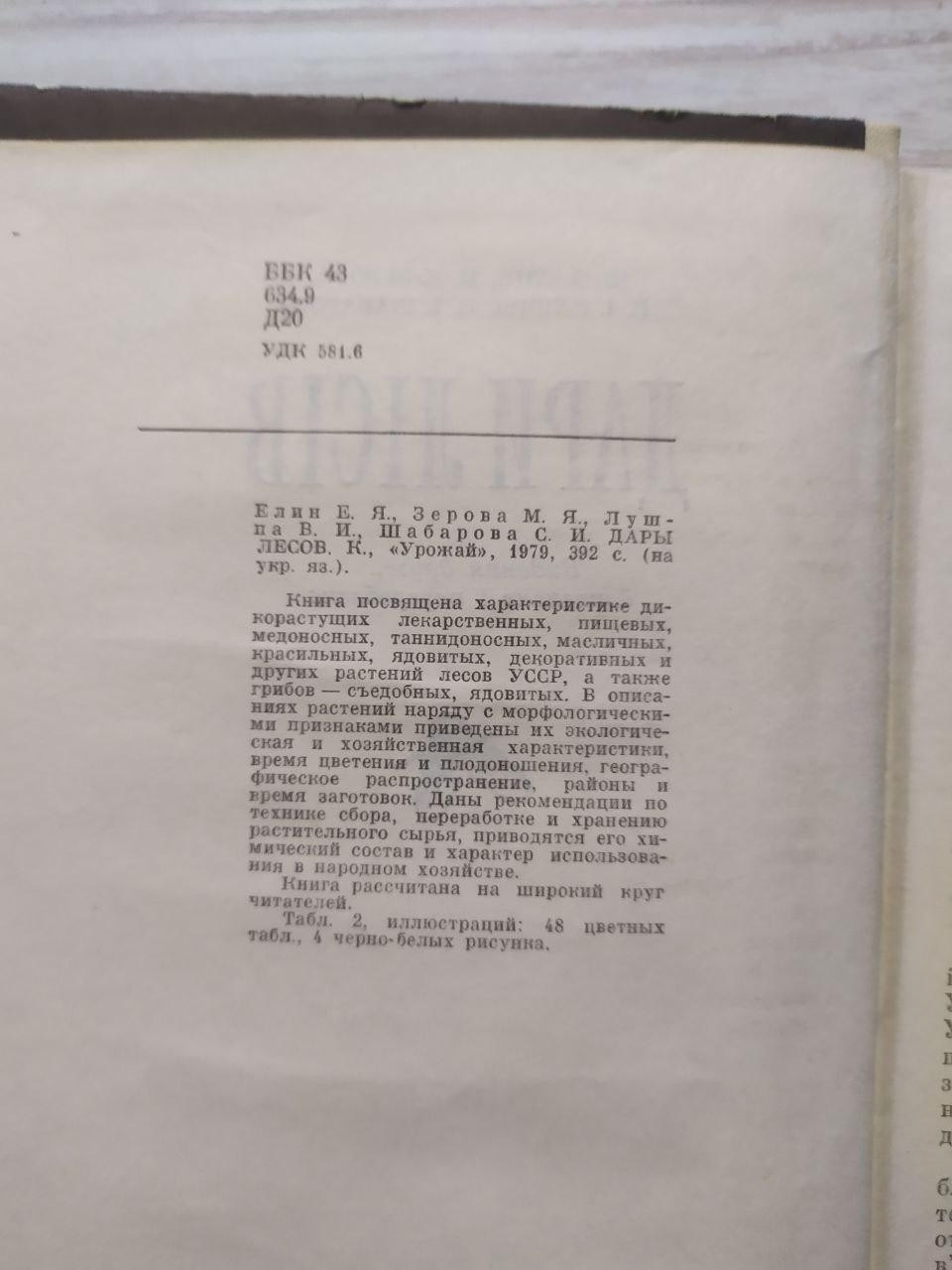 Product image preview