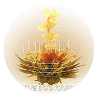 В`язаний чай "Біла красуня"