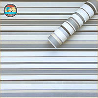 Самоклеюча плівка 0,45х10м х 0,07мм Світло-сталева SW-00001209