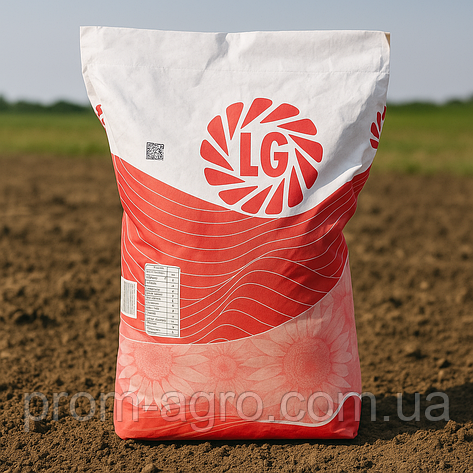 Соняшник Насіння Limagrain ЛГ 50521 Лімагрейн під Евролайтінг 2024 рік, фото 1