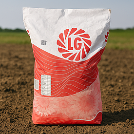 Соняшник Насіння Limagrain ЛГ 50505 Лімагрейн 2024 рік