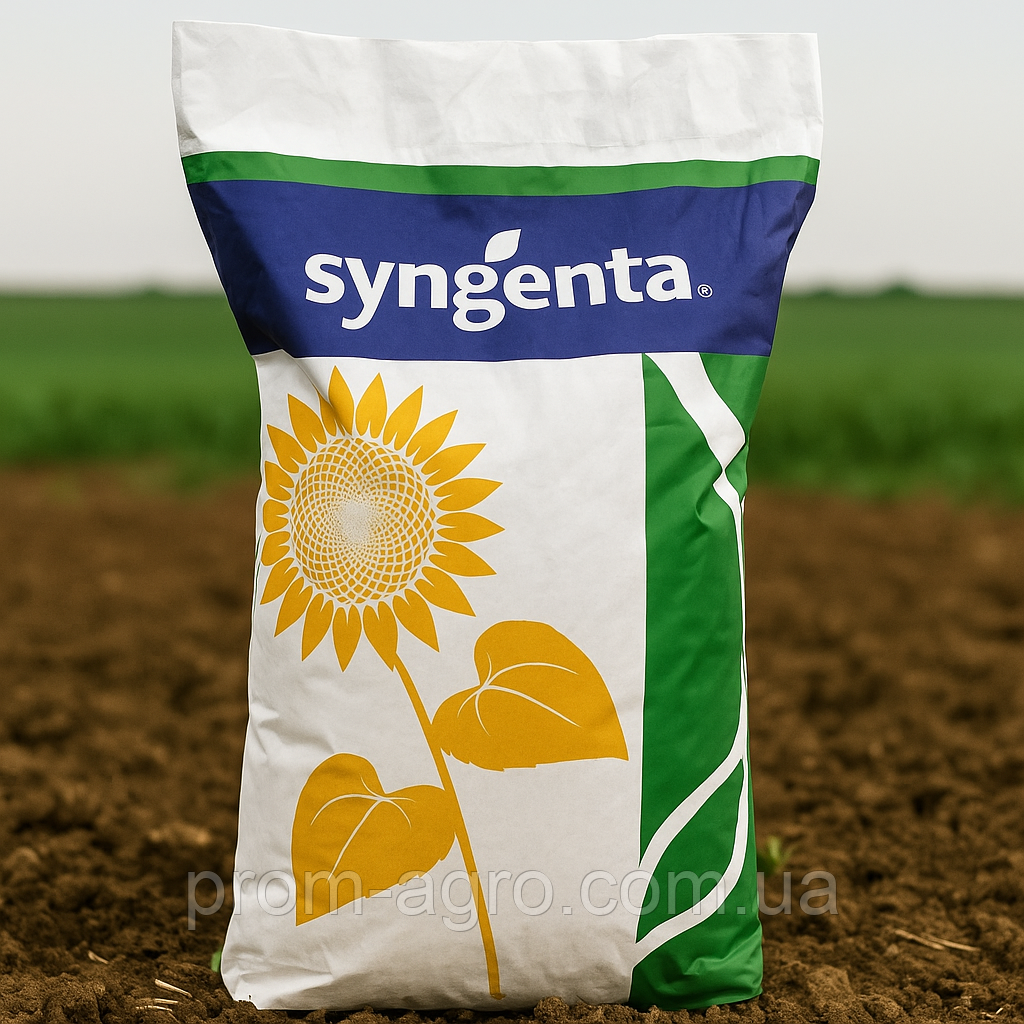 Соняшник Насіння Syngenta СИ Неостар КЛП Сингента під Євролайтінг Плюс 2024 рік