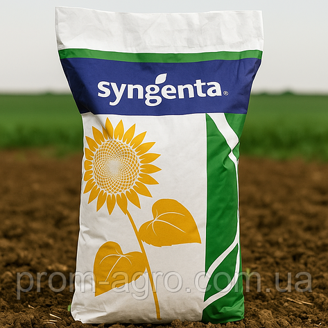 Соняшник Насіння Syngenta СИ Неостар КЛП Сингента під Євролайтінг Плюс 2024 рік, фото 1