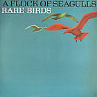 A Flock Of Seagulls - Rare Birds 2023  Bmg/Ger. Mint Вінілова платівка (art.245369), фото 4
