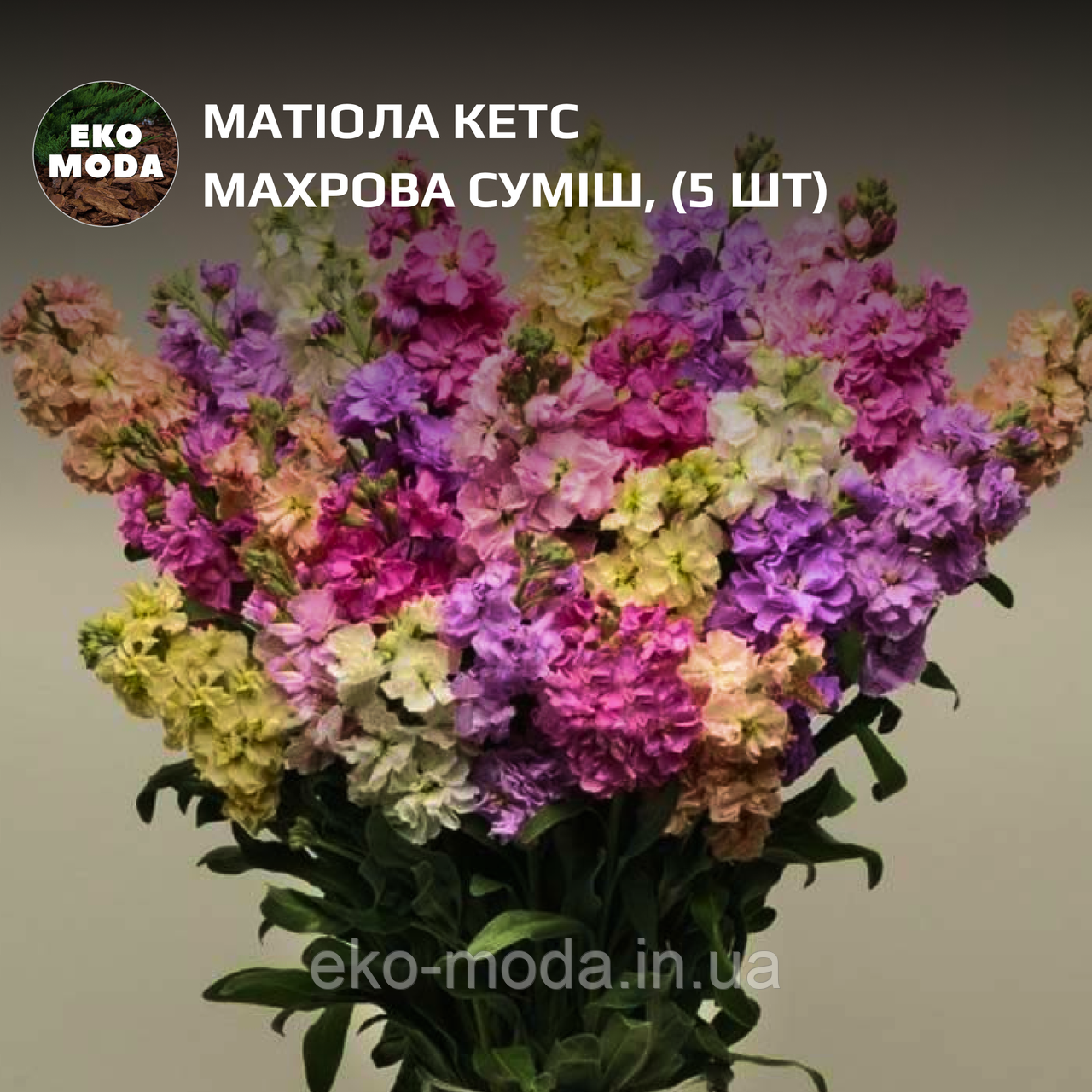 Матіола Кетс махрова суміш, (5 шт zip-пакет)